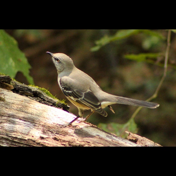 🛑STOP THE SCAMS!  PLEASE READ!!!🛑 - Picture 4 of 12